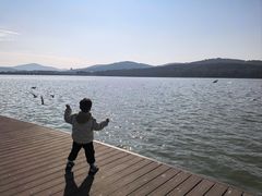 -水上明月·湖景餐厅