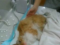 android_upload_pic-盛京一禾