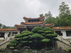 -深圳仙湖植物园