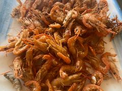 -独流饭店(静海区国土资源分局西)