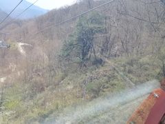 -牛背梁国家森林公园