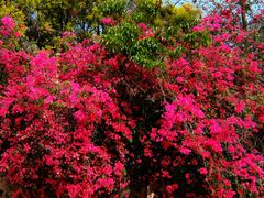 -厦门国家会计学院