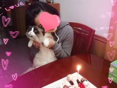 冻草莓芝士蛋糕-美丽心情蛋糕(江苏路店)