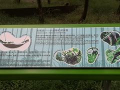 -西湖风景区-江洋畈生态公园