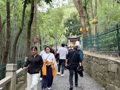 -灵岩山风景区
