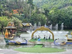 -西双版纳原始森林公园