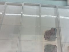 -嗒令甜品·主题融合料理餐厅(首座时代店)