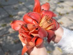 -广州市白云山风景名胜区