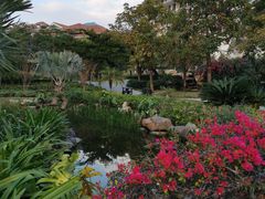 -惠州金海湾嘉华度假酒店