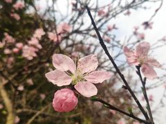 -长广溪湿地公园
