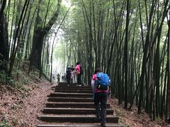 -西湖风景区十里琅珰-五云山