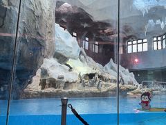 -帝企鹅自助餐厅•儿童岛•真企鹅(长隆企鹅酒店)