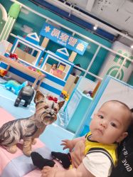 -利奥梦幻主题乐园(爱琴海购物公园店)