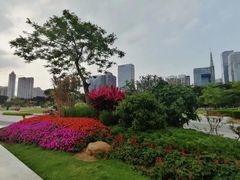 -二沙岛艺术公园