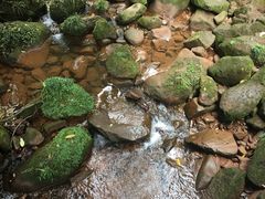 -赤水丹霞旅游区·佛光岩