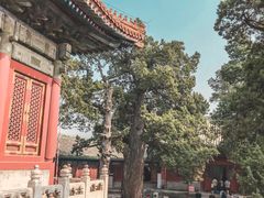 -北京国子监胡同