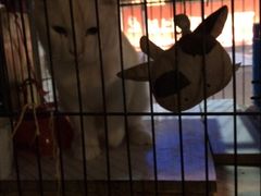 -赢吧Bliss音乐酒吧