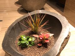 -唐拉雅秀酒店-唐苑中餐厅
