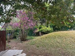 -玛利娅蒙特梭利双语幼儿园·托育(百家湖直营园)