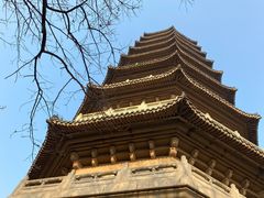 -灵谷景区