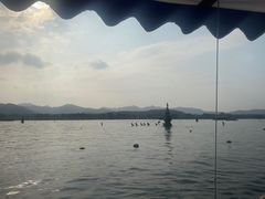 -西湖外事游船(花港观鱼码头)