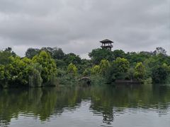 -张坝桂圆林公园