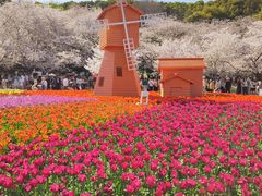 -苏州上方山国家森林公园