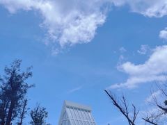 -东澳岛