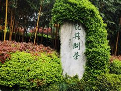 -十八棵（老龙井）御茶园(老龙井店)