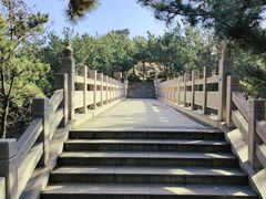 -北岭山森林公园