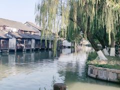 -乌镇东栅景区