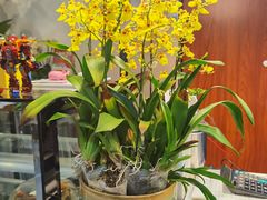 -聚·咖啡(南国奥园店)