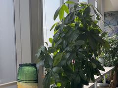 -马泷齿科·成都锦江置略马泷口腔门诊部(IFS国金中心店)