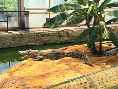 -石家庄市动物园