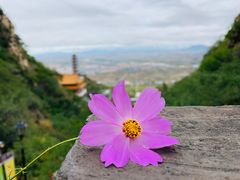 -辛安庄鸡鸣山景区
