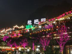 -枇杷园食为鲜火锅(南山店)