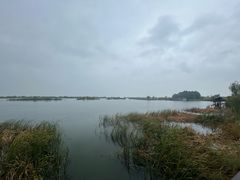 -苏州太湖湖滨国家湿地公园