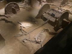 -洛阳周王城天子驾六博物馆