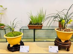 -郭庄景区