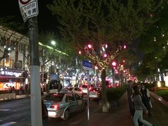 平面分布图-静安别墅