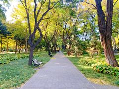-玲珑塔公园