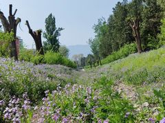 -国家植物园南园