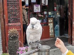 门面-四海楼(如皋定慧禅寺店)