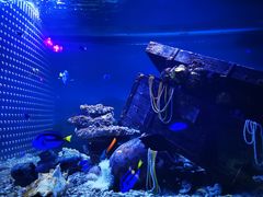 -秦皇岛乐岛海洋王国