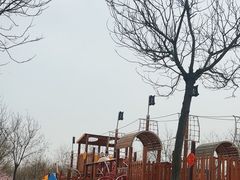 -天津东丽湖风景区