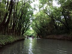 -动邦皮划艇·桨板·独木舟·团建户外运动俱乐部