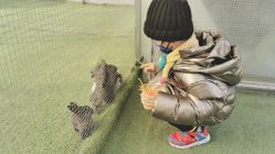 -萌宠亲子动物乐园(槐房万达店)