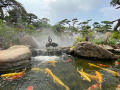 -罗红摄影艺术馆