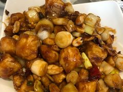 -金蝉食府(维吉奥广场店)