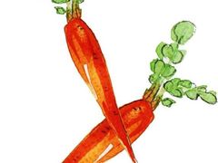 -岳各庄批发市场(西四环中路店)